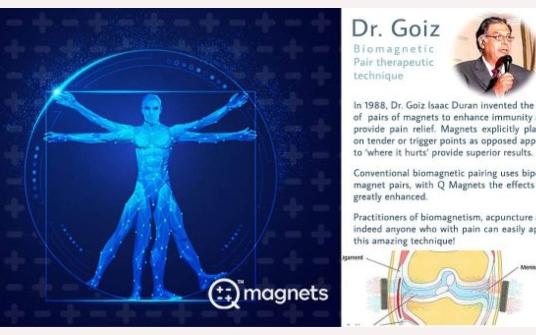 Dr Goiz Biomagnetic Pairing and Q Magnets