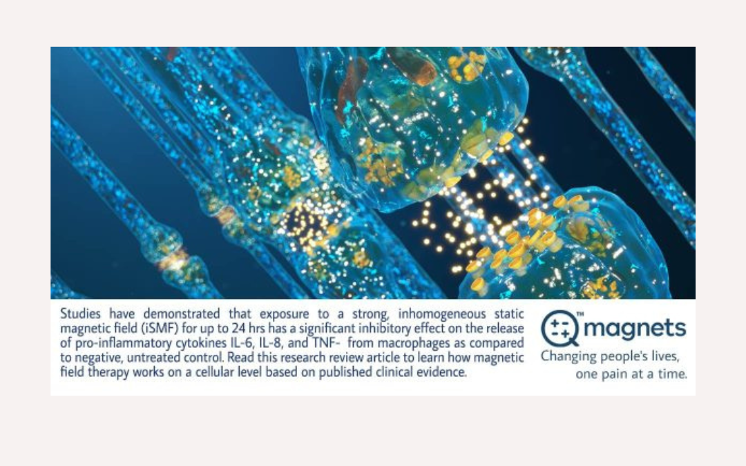 Cellular Level Anti-Inflammatory Effects of Static Magnetic Fields