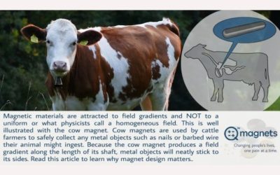 Why magnet design matters? Learning from Cow Magnets