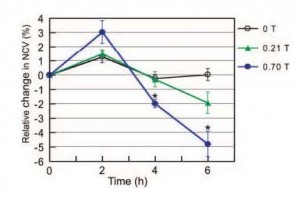 Graph showing effects of inhomogeneous static magnetic fields on nerve conduction 