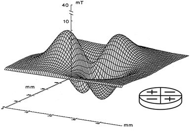 quadrapolar magnetic field gradient therapy